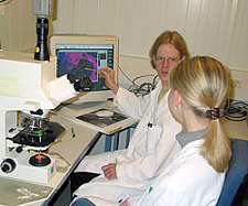 The picture shows scientists at the University of Bremen who have developed gene sounds for the diagnosis of tumours. 