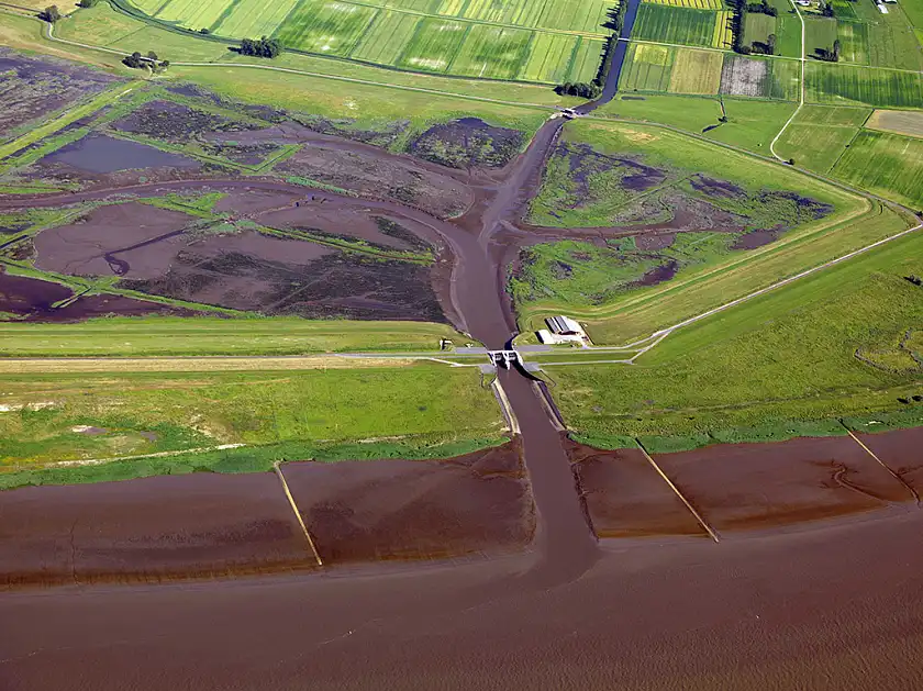 220 Hektar großer Polder im Süden der Luneplate