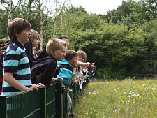 Kids in Leherheide