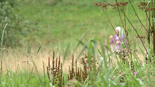 Naturerleben in Leherheide