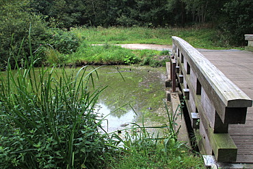 Idylle in der Natur