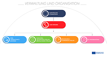 Grafik der beteiligten Stellen von der Antragsstellung bis zum Projektabschluss