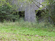 The overgrown bunker