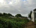 Overgrown buildings