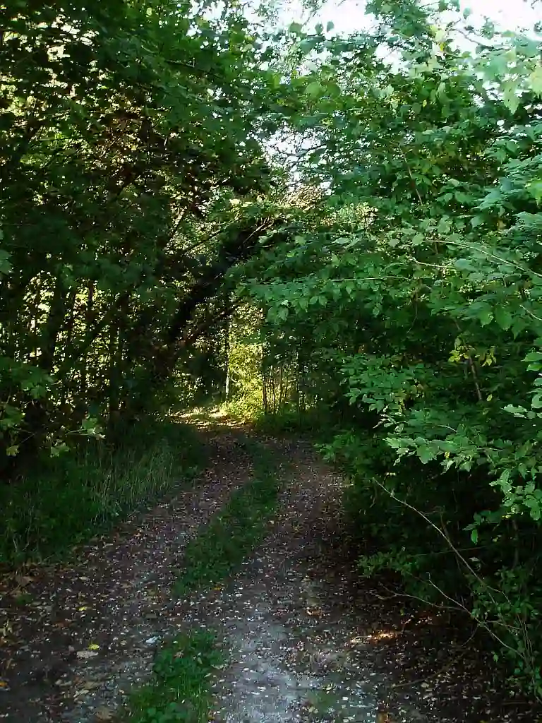 Kl&ouml;cknerrandweg2