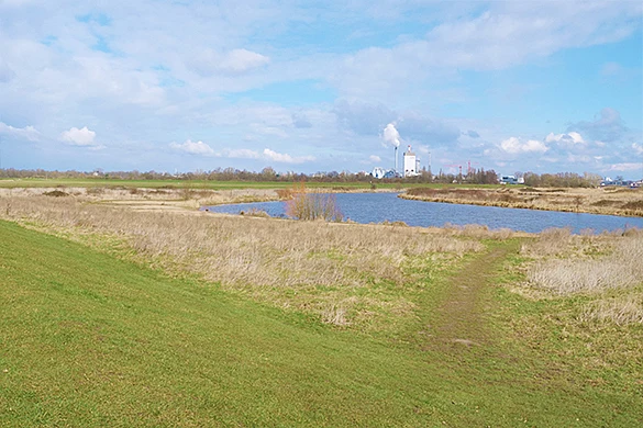 Lebensraum f&uuml;r Pflanzen und Tiere