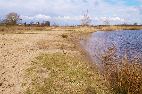 Naturnahes Sandufer