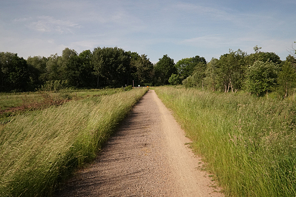 Neuer Wanderweg (Fuß- und Radweg)