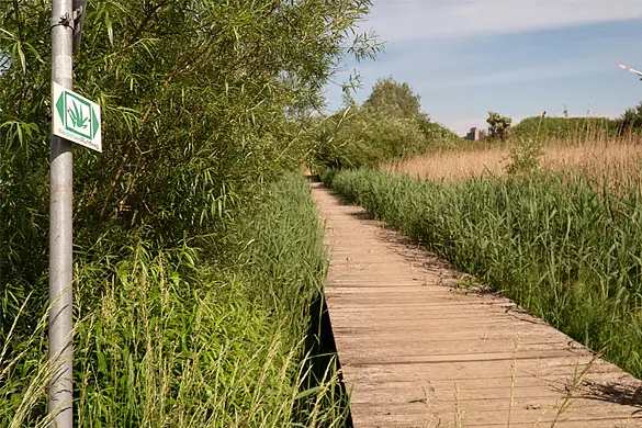 Rundweg im Juli 2021