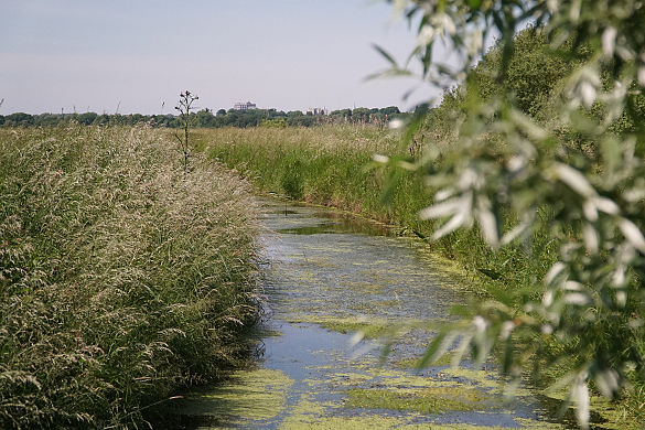 Attraktive Verbindung zwischen Weser und Lesum