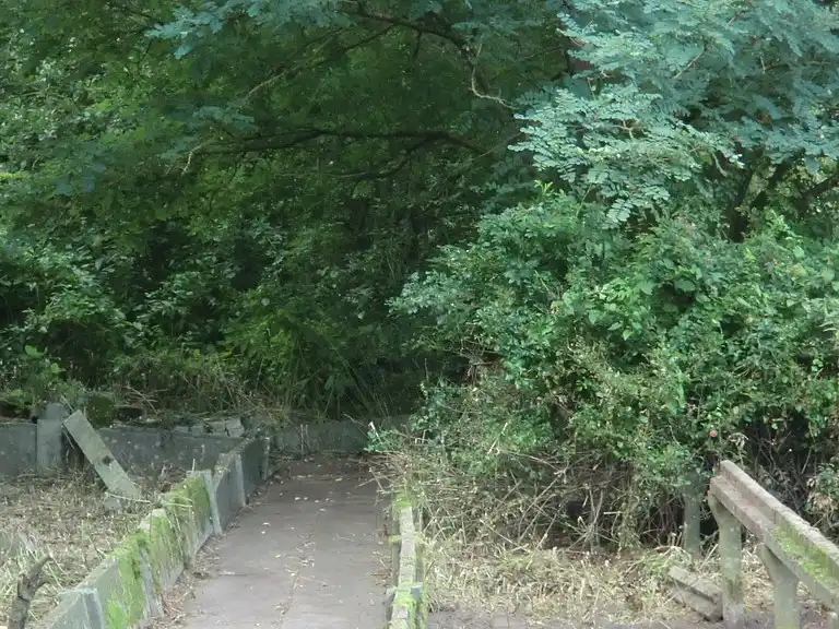 Freigelegte Hochbeete