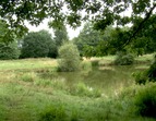 Idylle in der Natur am Erikasee