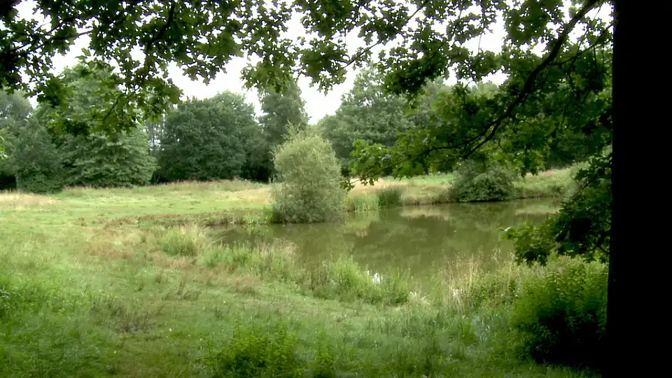 Idylle in der Natur am Erikasee