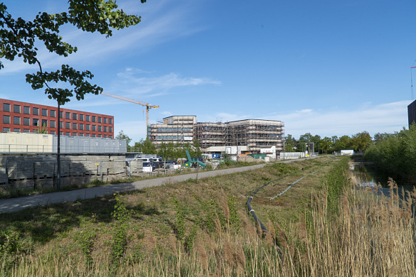 Blick von der Universitätsallee