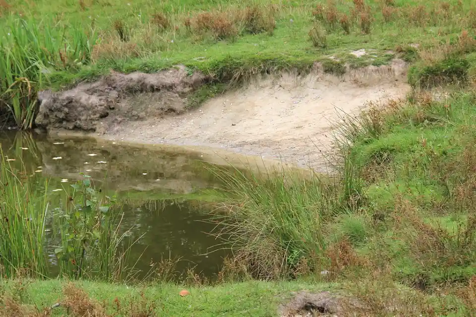 Sandige B&ouml;schung am Erikasee