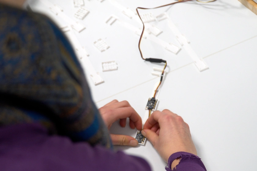 Hilfe für die Honigbiene