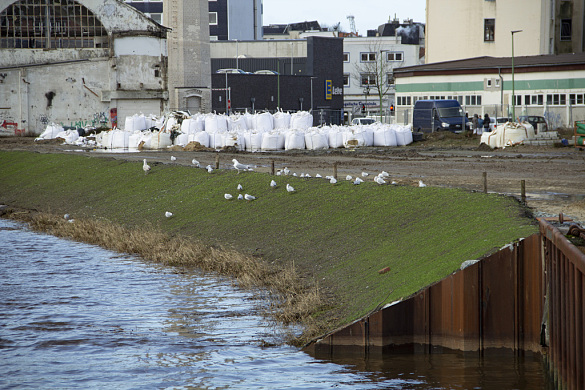 Baustelle im Januar 2021