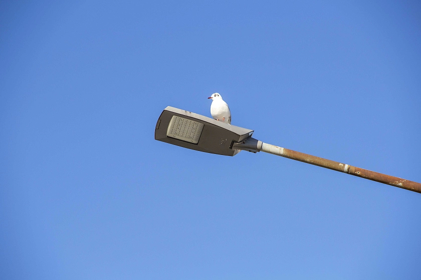 LED-Leuchten Fischereihafen März 2022