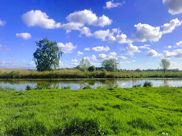 Inmitten der Natur, mittendrin statt nur dabei