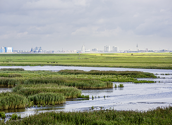 Siel im Bremerhavener Naturschutzgebiet