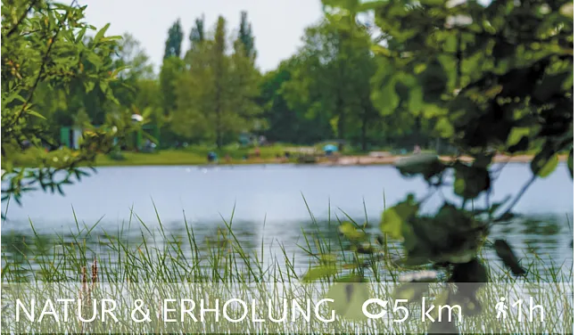 Blick auf den Waller Feldmarksee mit Gras