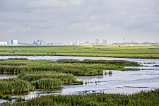 Picture of a sluice in the Bremerhaven nature reserve