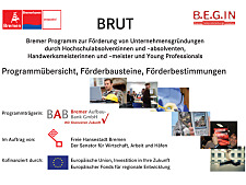 BRUT Ueberblick