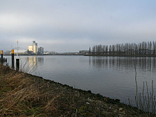 Weser estuary